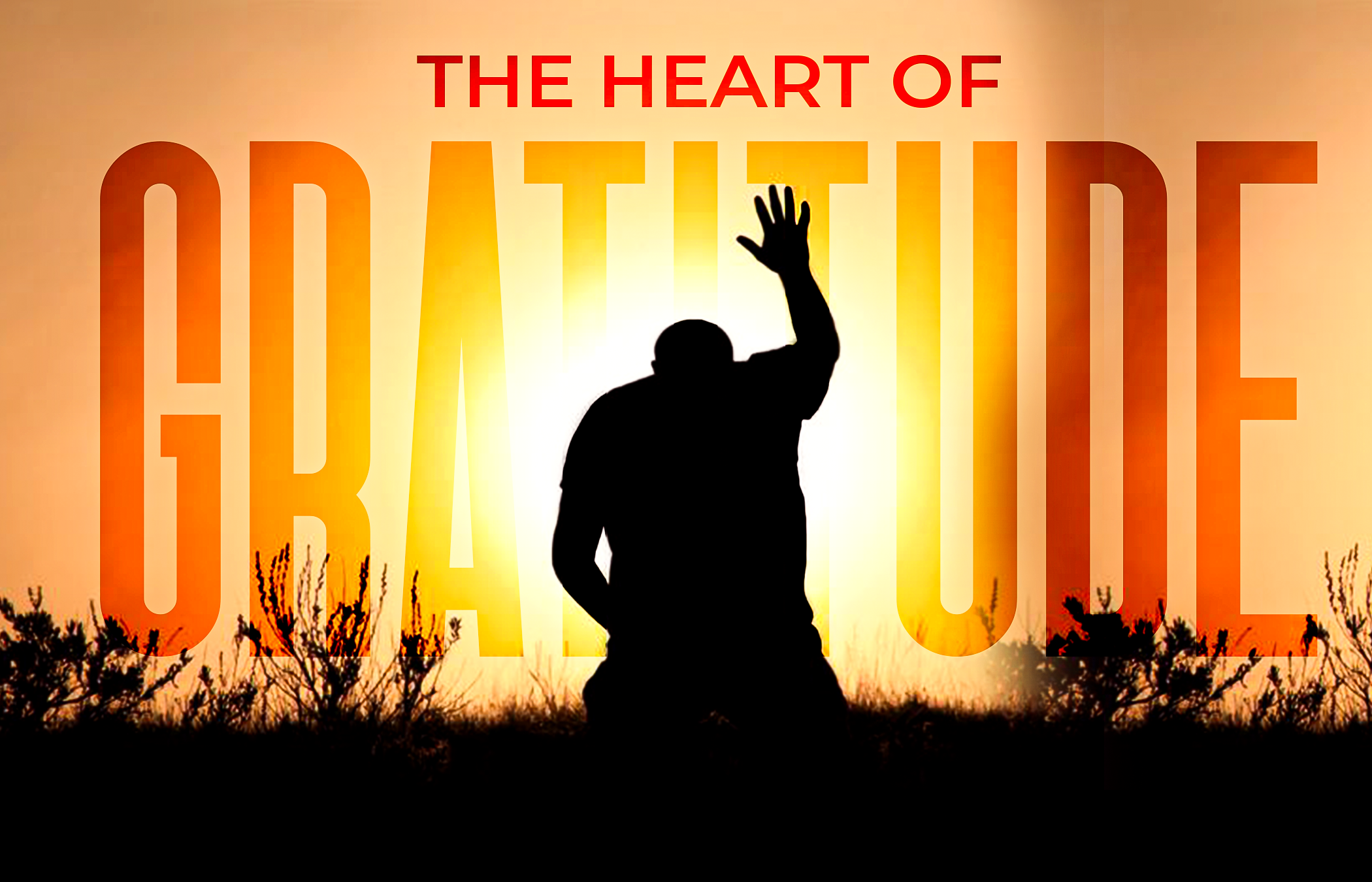 The Heart of Gratitude